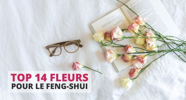 14 Fleurs à Absolument avoir pour son Feng-Shui
