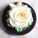 Fleur éternelle blanche