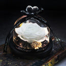 Fleur éternelle blanche