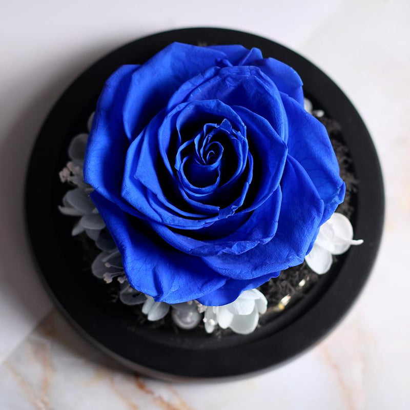 Fleur éternelle bleue