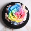 Fleur éternelle multicolore