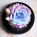 Fleur éternelle pas cher