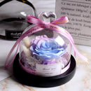 Fleur éternelle pas cher