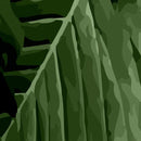 Papier peint feuillage vert fond blanc