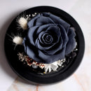 Rose éternelle noire sous cloche