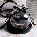 Rose éternelle noire sous cloche