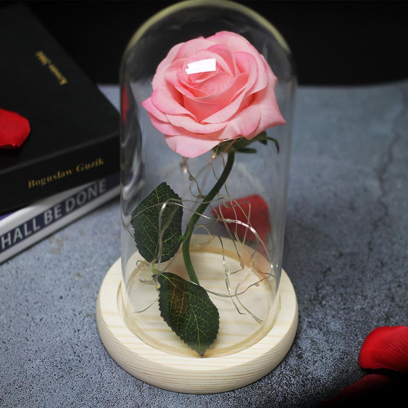 Rose rose éternelle sous cloche