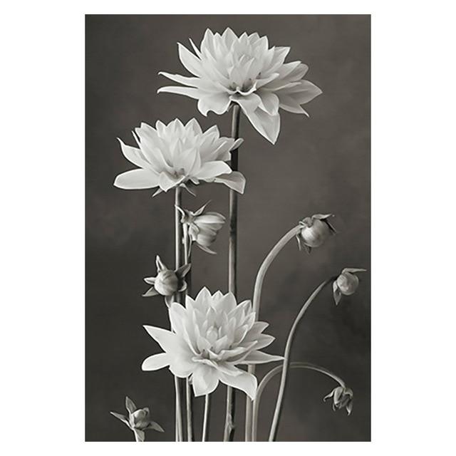 Tableau fleurs blanches sur fond noir