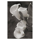 Tableau fleurs blanches sur fond noir