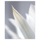 Tableau fleurs gris et blanc