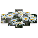 Tableau fleurs marguerites