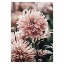 Tableau fleurs pivoines