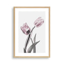 Tableau tulipe moderne